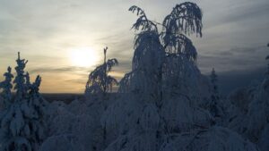 vuokatti